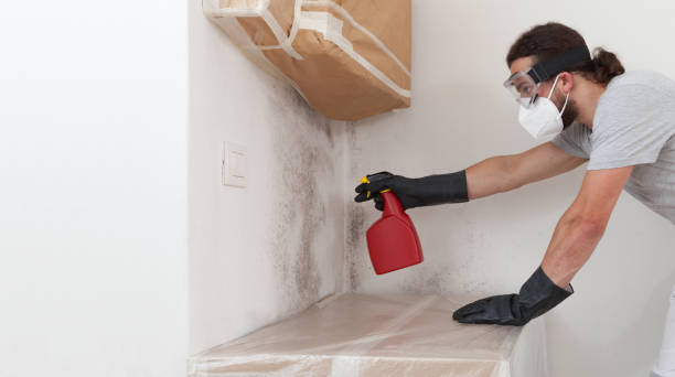 Professional Commercial Mold Remediation technician working in Wellington, TX