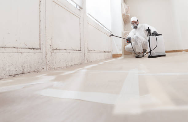 24/7 Emergency Commercial Mold Remediation experts in Wellington, TX