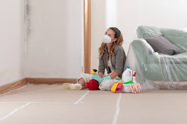 Reliable Commercial Mold Remediation contractor in Wellington, TX by WQB Mold Removal
